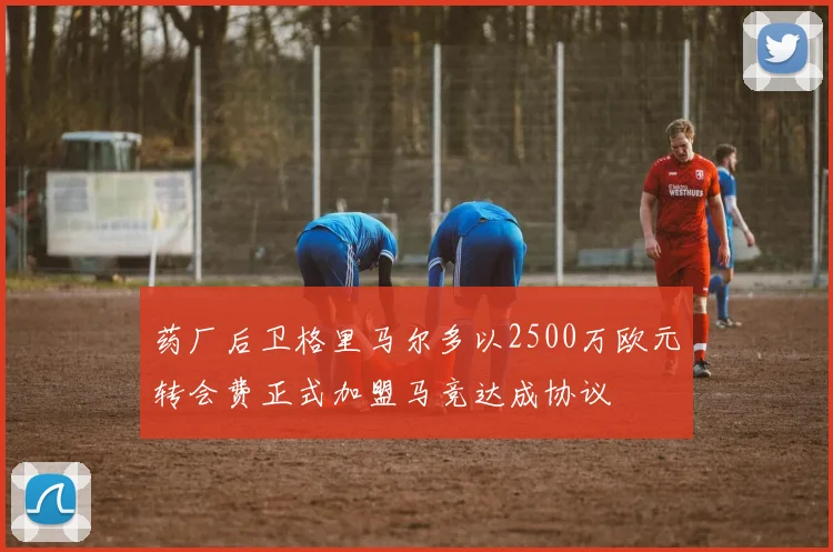 药厂后卫格里马尔多以2500万欧元转会费正式加盟马竞达成协议